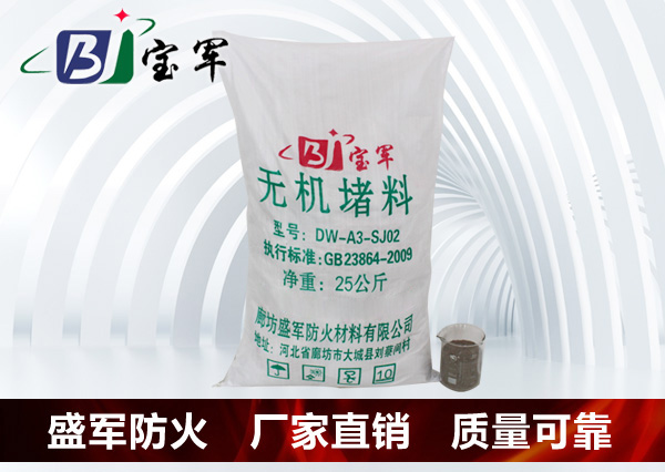 �o�C�������